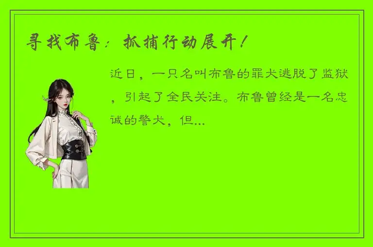 寻找布鲁：抓捕行动展开！