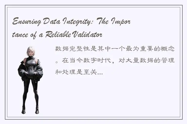 Ensuring Data Integrity: The Importance of a Reliable Validator
