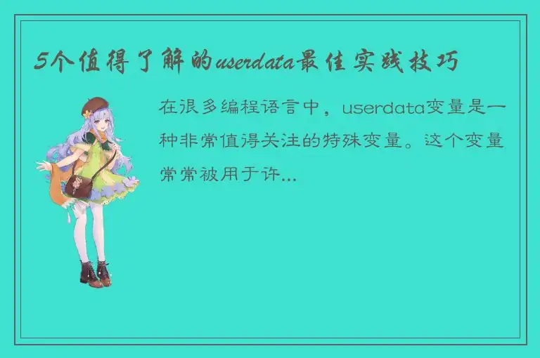 5个值得了解的userdata最佳实践技巧