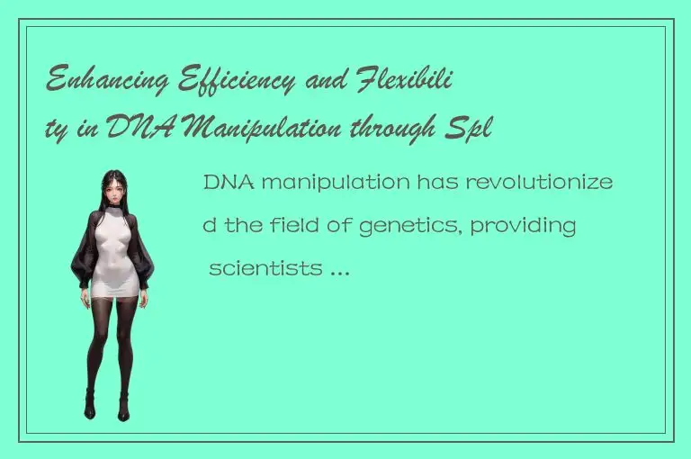 Enhancing Efficiency and Flexibility in DNA Manipulation through Splice Techniqu