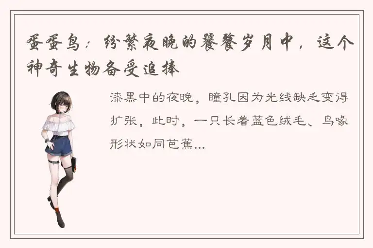 蛋蛋鸟：纷繁夜晚的饕餮岁月中，这个神奇生物备受追捧