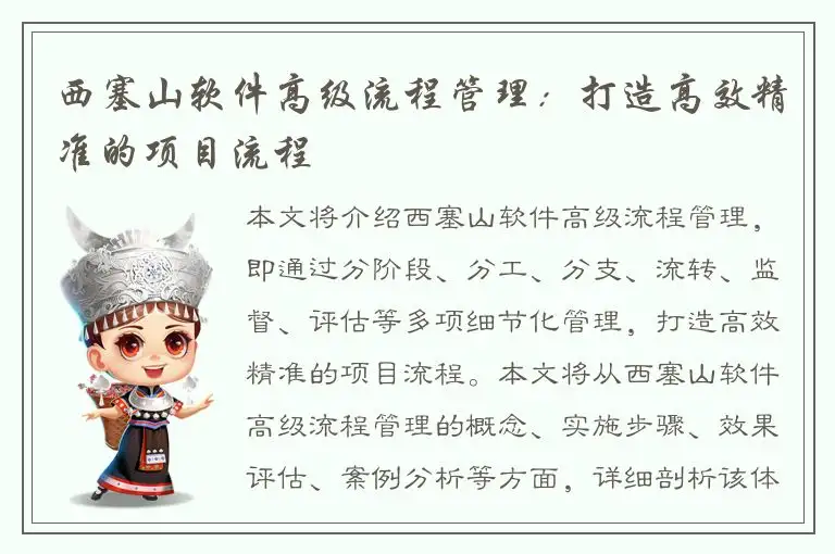 西塞山软件高级流程管理：打造高效精准的项目流程