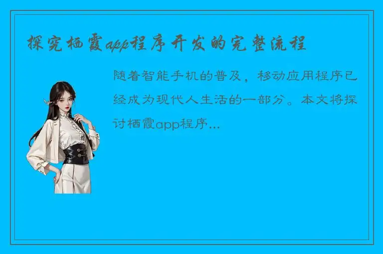 探究栖霞app程序开发的完整流程