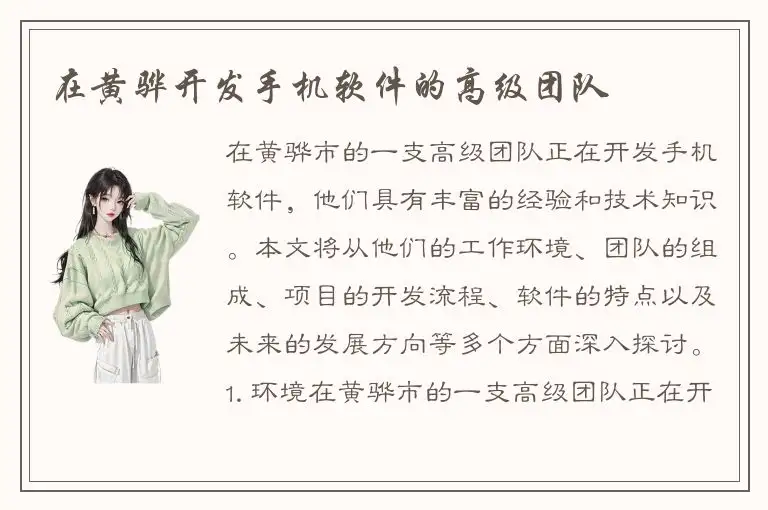 在黄骅开发手机软件的高级团队