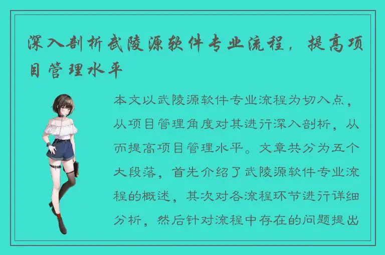 深入剖析武陵源软件专业流程，提高项目管理水平