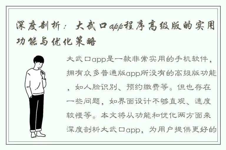 深度剖析：大武口app程序高级版的实用功能与优化策略