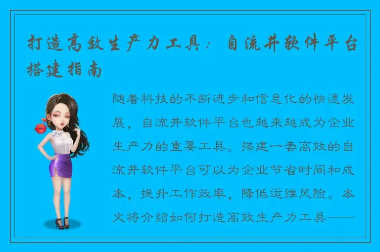 打造高效生产力工具：自流井软件平台搭建指南