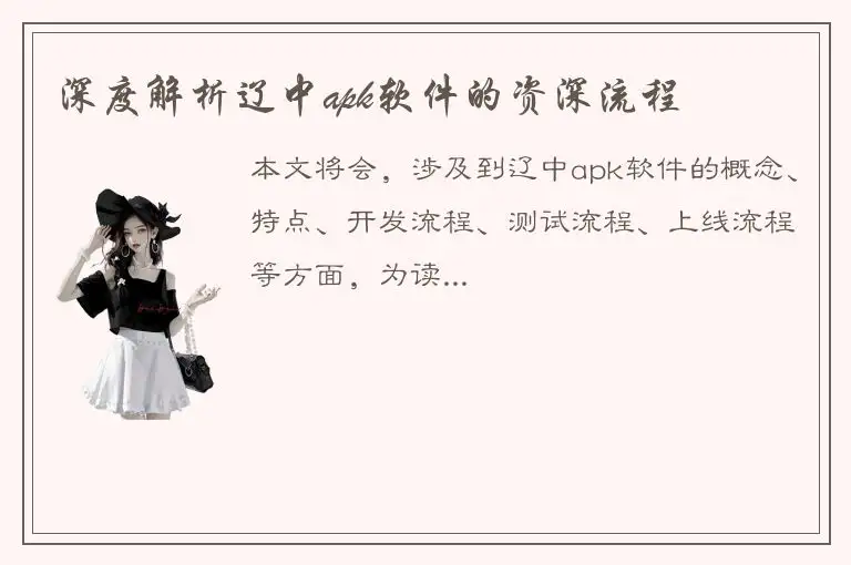 深度解析辽中apk软件的资深流程