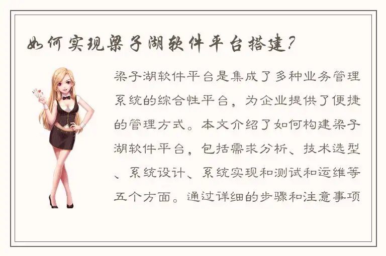 如何实现梁子湖软件平台搭建？