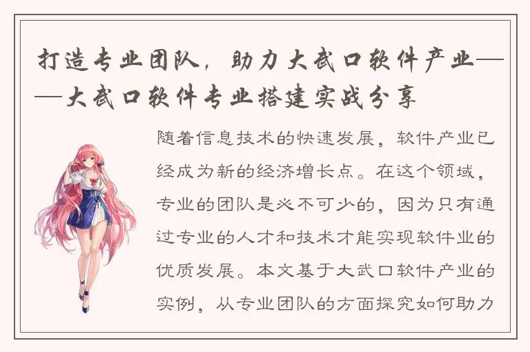 打造专业团队，助力大武口软件产业——大武口软件专业搭建实战分享