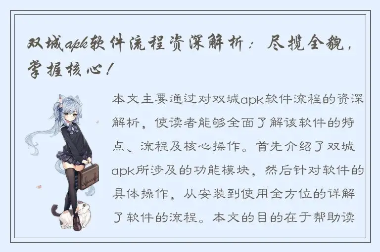 双城apk软件流程资深解析：尽揽全貌，掌握核心！