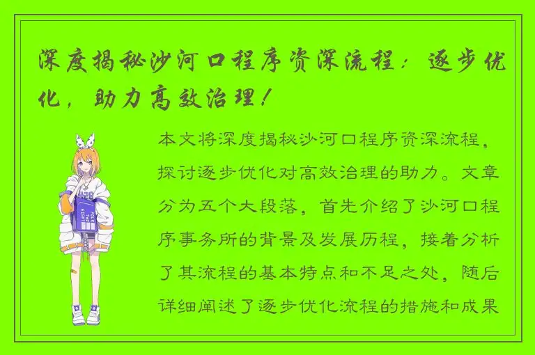 深度揭秘沙河口程序资深流程：逐步优化，助力高效治理！