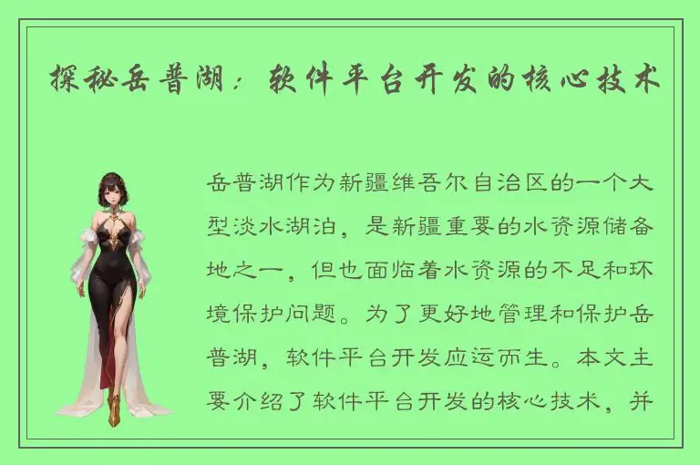 探秘岳普湖：软件平台开发的核心技术