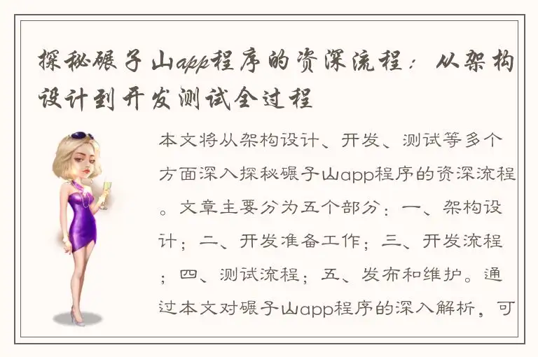 探秘碾子山app程序的资深流程：从架构设计到开发测试全过程