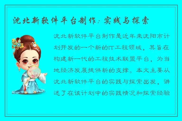沈北新软件平台制作: 实践与探索