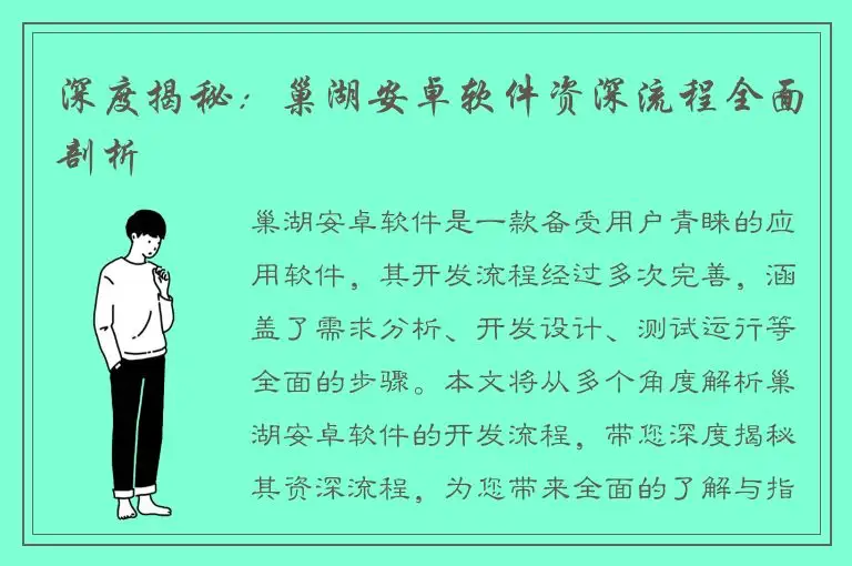 深度揭秘：巢湖安卓软件资深流程全面剖析