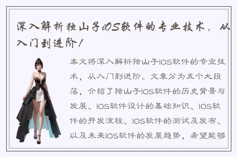深入解析独山子iOS软件的专业技术，从入门到进阶！