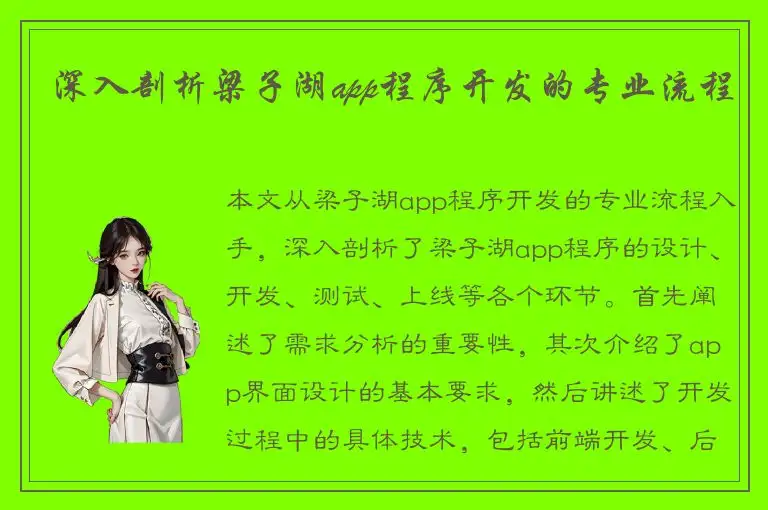 深入剖析梁子湖app程序开发的专业流程