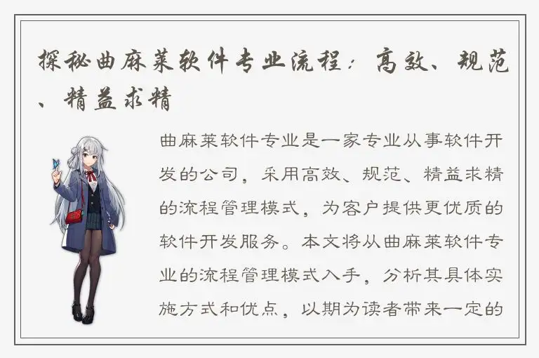 探秘曲麻莱软件专业流程：高效、规范、精益求精