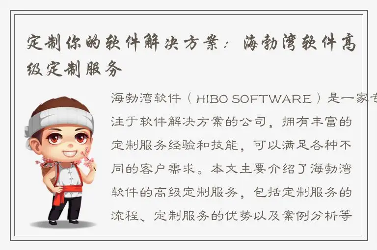 定制你的软件解决方案：海勃湾软件高级定制服务