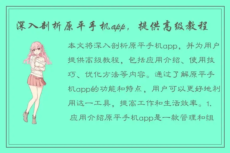深入剖析原平手机app，提供高级教程