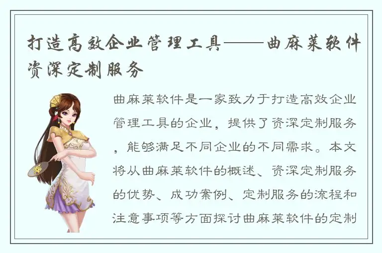 打造高效企业管理工具——曲麻莱软件资深定制服务
