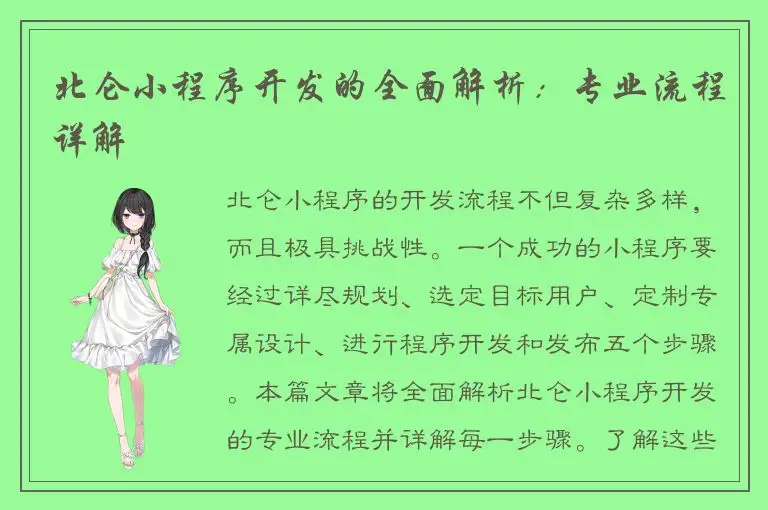 北仑小程序开发的全面解析：专业流程详解