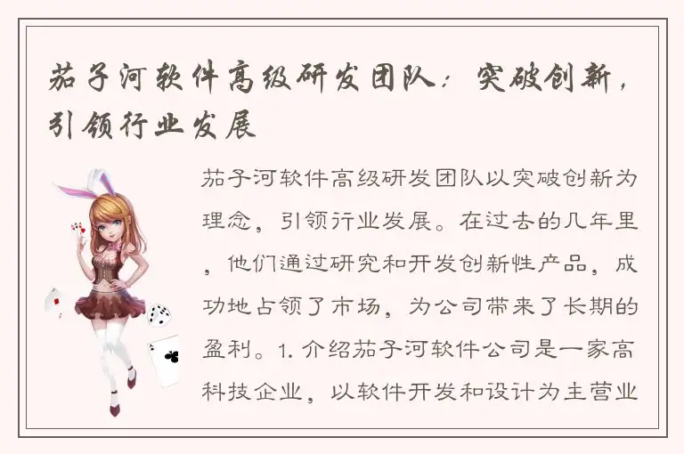 茄子河软件高级研发团队：突破创新，引领行业发展
