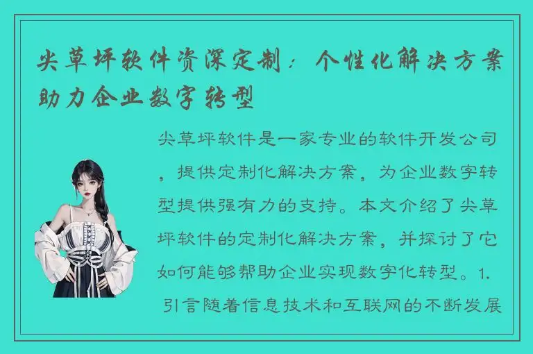 尖草坪软件资深定制：个性化解决方案助力企业数字转型