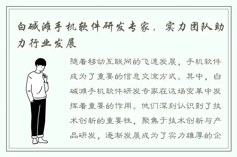 白碱滩手机软件研发专家，实力团队助力行业发展