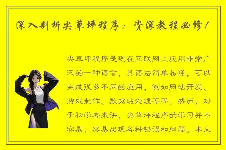 深入剖析尖草坪程序：资深教程必修！