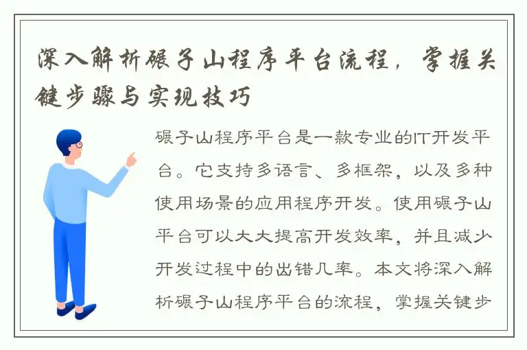 深入解析碾子山程序平台流程，掌握关键步骤与实现技巧