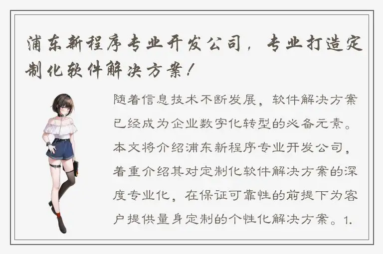 浦东新程序专业开发公司，专业打造定制化软件解决方案！