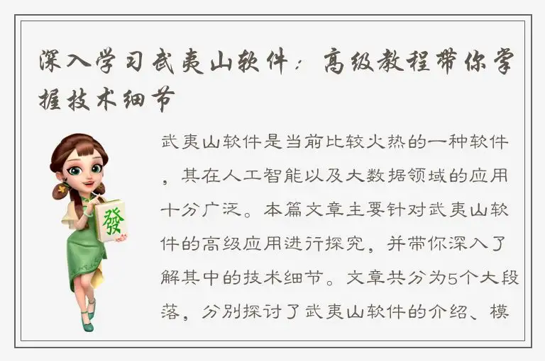 深入学习武夷山软件：高级教程带你掌握技术细节