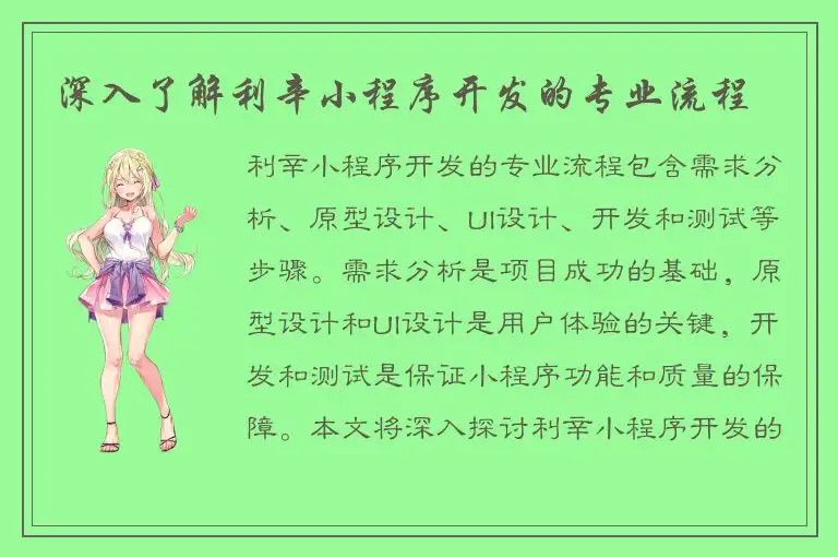 深入了解利辛小程序开发的专业流程