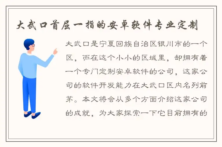 大武口首屈一指的安卓软件专业定制