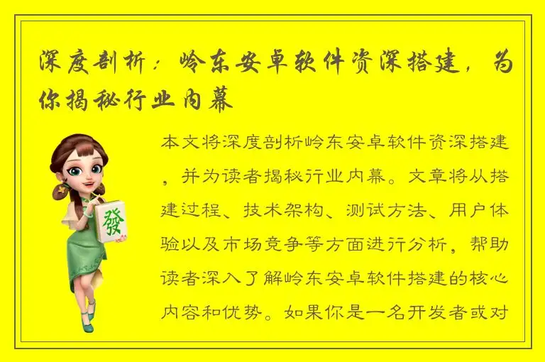 深度剖析：岭东安卓软件资深搭建，为你揭秘行业内幕