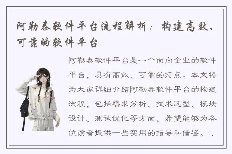 阿勒泰软件平台流程解析：构建高效、可靠的软件平台