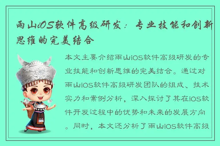雨山iOS软件高级研发：专业技能和创新思维的完美结合