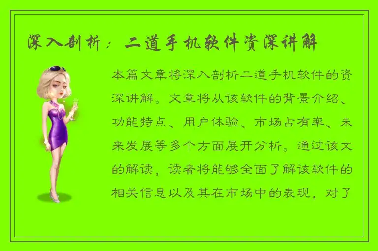 深入剖析：二道手机软件资深讲解