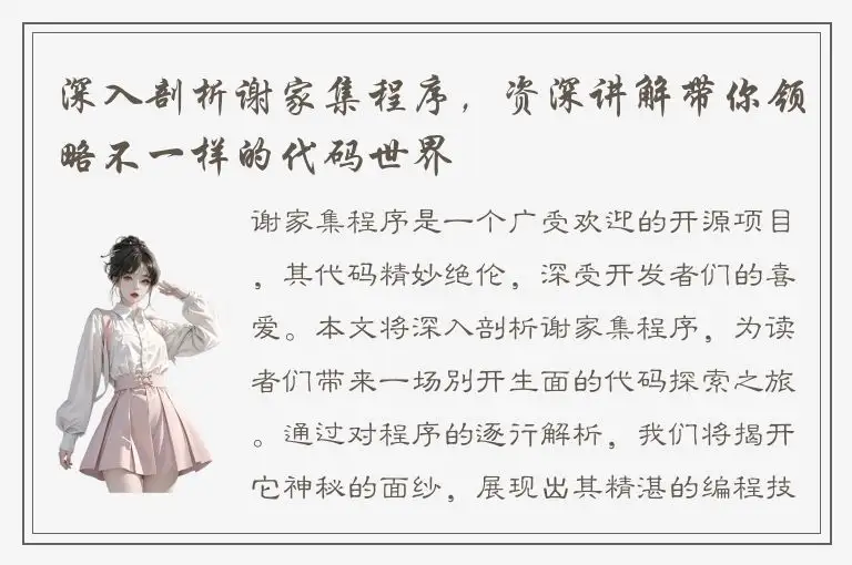深入剖析谢家集程序，资深讲解带你领略不一样的代码世界