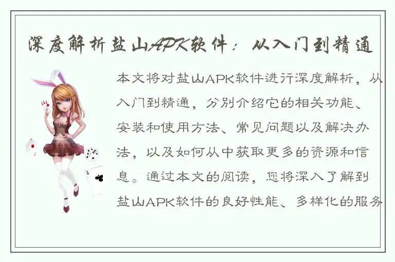 深度解析盐山APK软件：从入门到精通