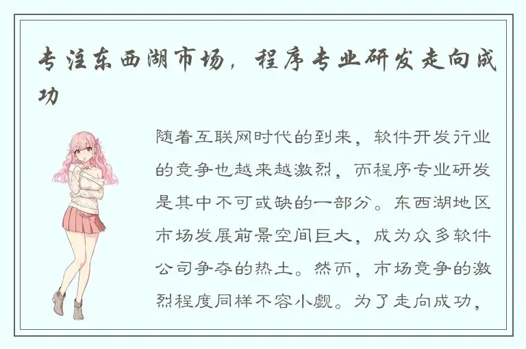 专注东西湖市场，程序专业研发走向成功