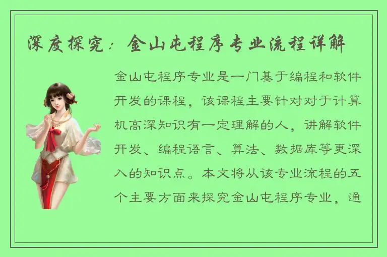 深度探究：金山屯程序专业流程详解
