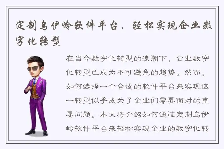 定制乌伊岭软件平台，轻松实现企业数字化转型