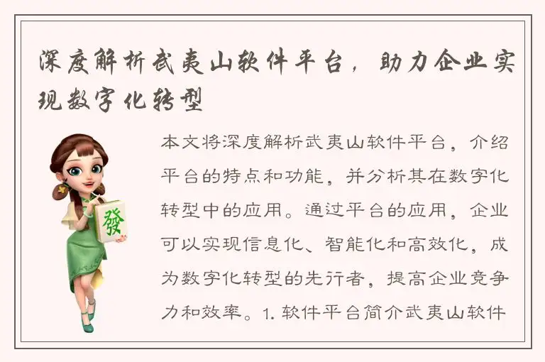 深度解析武夷山软件平台，助力企业实现数字化转型