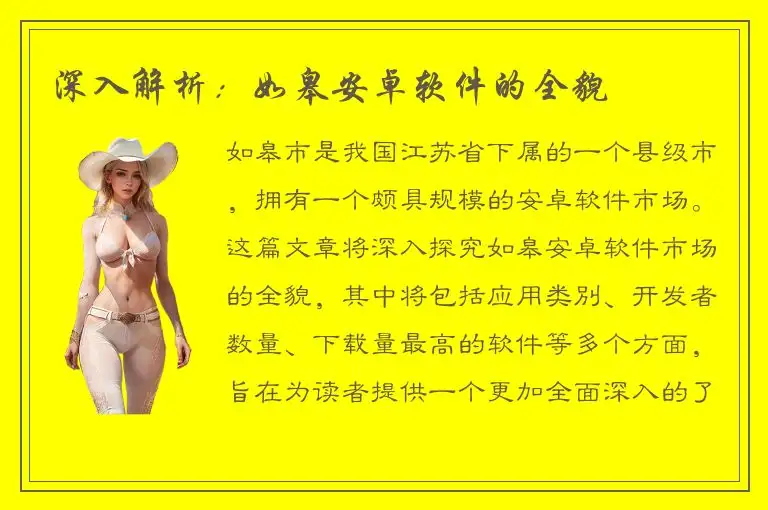 深入解析：如皋安卓软件的全貌