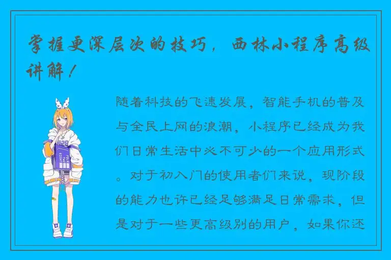 掌握更深层次的技巧，西林小程序高级讲解！