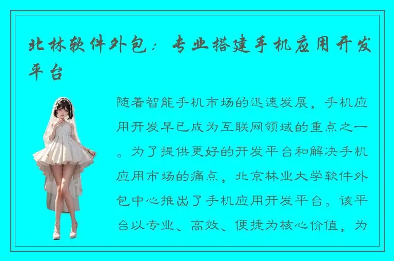 北林软件外包：专业搭建手机应用开发平台