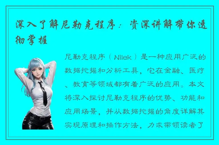 深入了解尼勒克程序：资深讲解带你透彻掌握